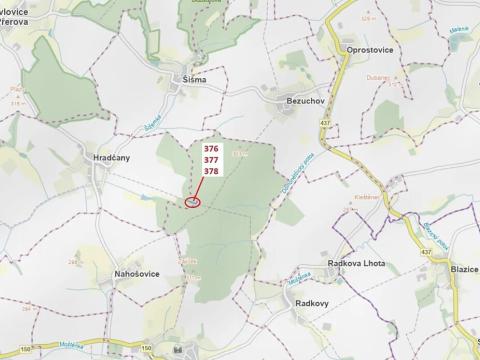 Dražba lesa, Hradčany-Kobeřice, 1703 m2