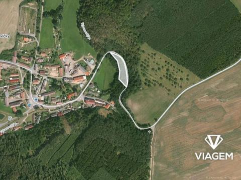 Prodej lesa, Hlohovice, 1712 m2