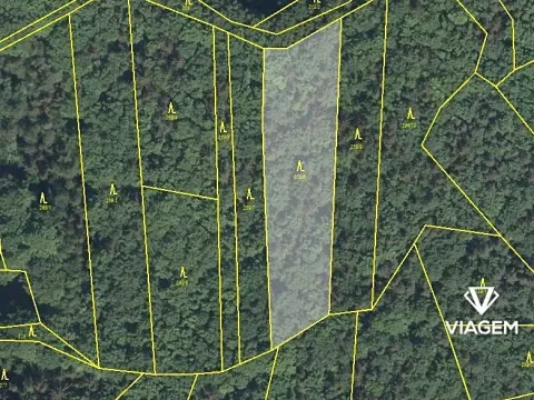 Prodej podílu lesa, Kouty, 1777 m2