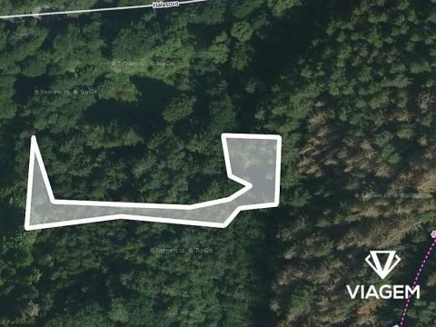 Prodej lesa, Letovice, 1447 m2