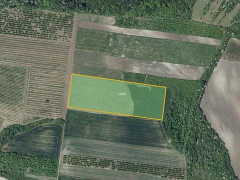 Prodej sadu/vinice, Želkovice, 25655 m2