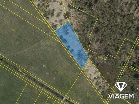 Prodej lesa, Borkovice, 3561 m2