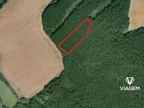 Prodej podílu lesa, Slatiny, 2288 m2