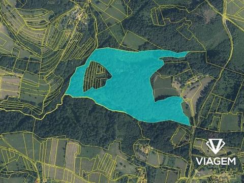 Prodej podílu lesa, Růžďka, 21687 m2