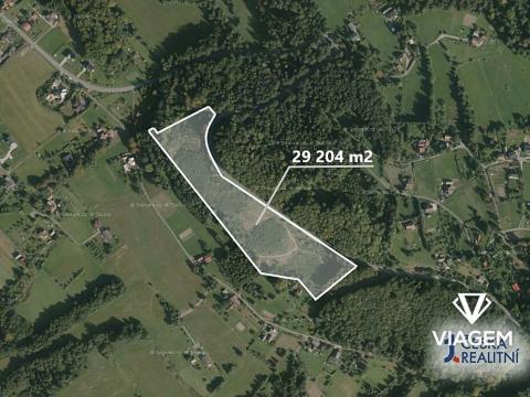 Prodej lesa, Bystřice, 29204 m2