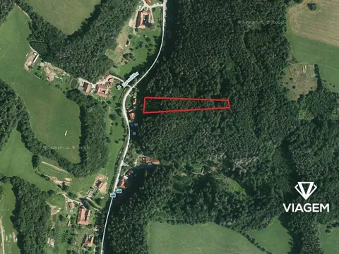 Prodej lesa, Letovice, 2703 m2