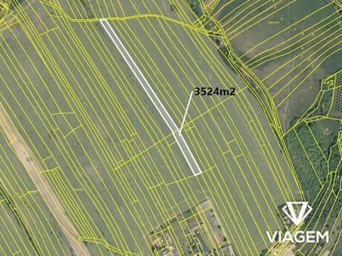 Prodej pole, Břestek, 3524 m2