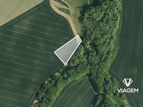 Prodej pole, Vitčice, 3765 m2