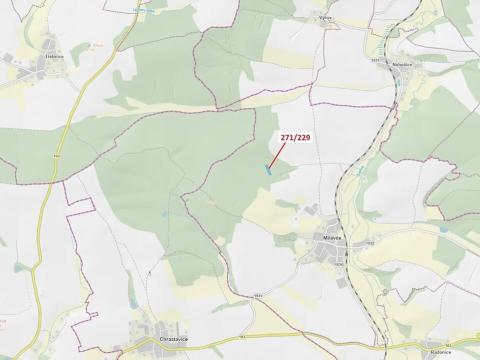 Dražba lesa, Milavče, 3695 m2