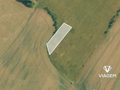 Prodej podílu pole, Dašice, 2447 m2