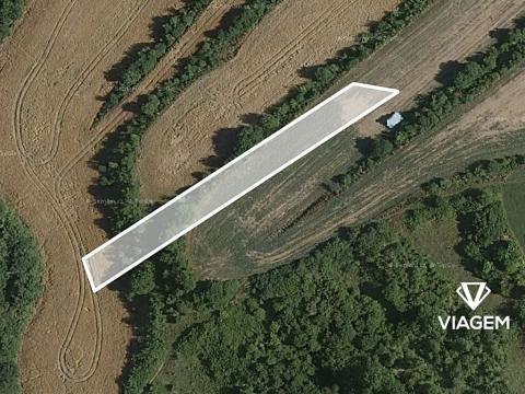 Prodej pole, Tučapy, 1405 m2