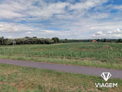 Prodej pole, Víceměřice, 5054 m2