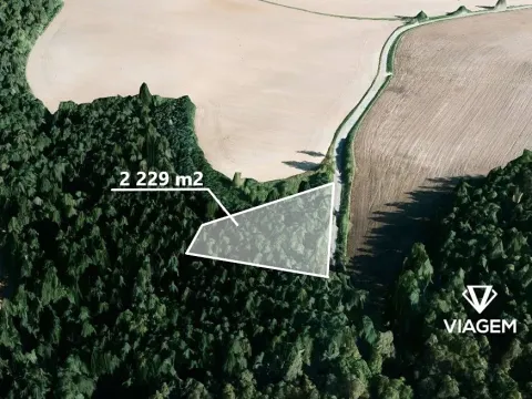 Prodej podílu lesa, Manětín, 1114 m2