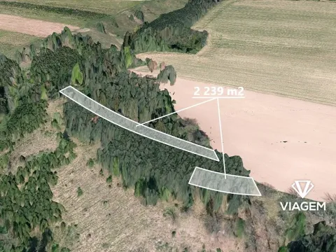 Prodej lesa, Čikov, 2239 m2