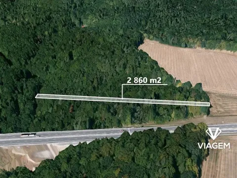 Prodej podílu lesa, Velká Polom, 2323 m2