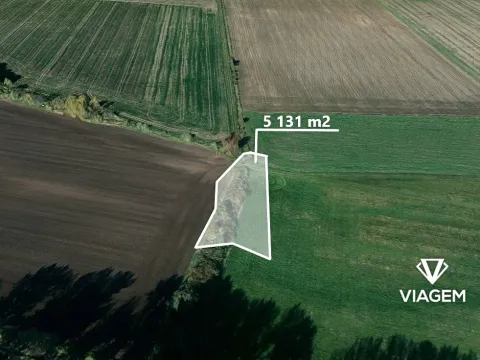 Prodej podílu pole, Boharyně, 1282 m2