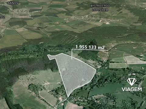 Prodej podílu lesa, Bánov, 76909 m2