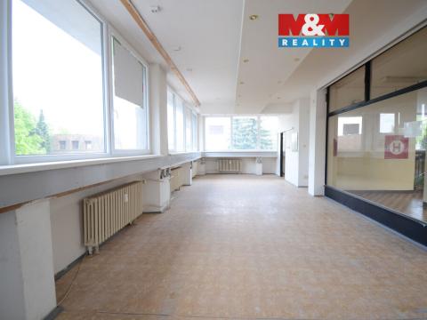 Pronájem obchodního prostoru, Rychnov nad Kněžnou, Havlíčkova, 55 m2