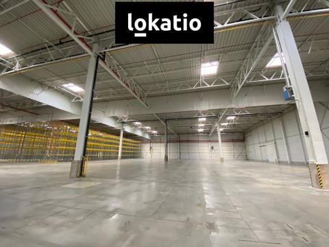 Pronájem výrobních prostor, Modřice, 16895 m2