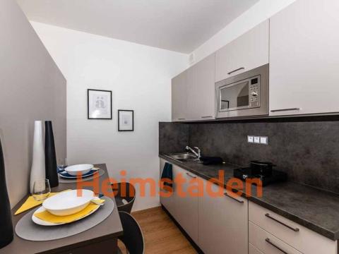 Pronájem bytu 1+kk, Plzeň - Jižní Předměstí, Magisterská, 28 m2