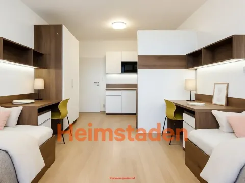 Pronájem bytu 1+kk, Plzeň - Jižní Předměstí, Magisterská, 27 m2