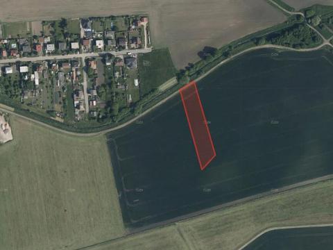 Prodej pole, Březno, 4837 m2