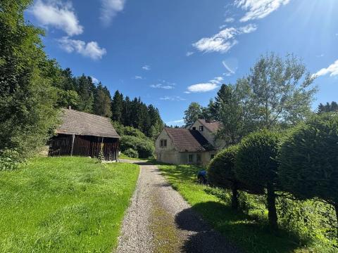 Prodej rodinného domu, Bujanov, 480 m2