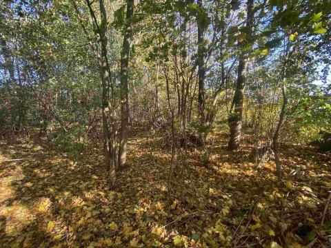 Prodej pozemku, Zdislava, 1043 m2