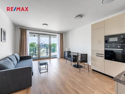 Pronájem bytu 1+kk, Praha - Karlín, Breitfeldova, 42 m2