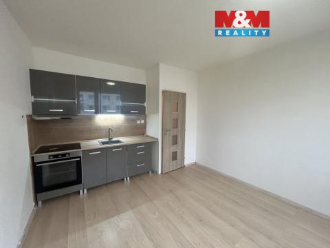 Pronájem bytu 1+1, Ústí nad Labem - Střekov, Nová, 35 m2