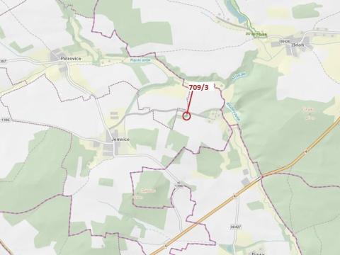 Dražba lesa, Osek, 301 m2