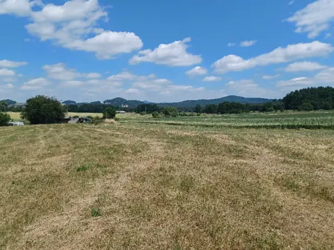 Dražba pozemku, Jestřebí, 13769 m2