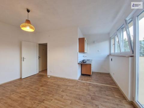 Pronájem bytu 1+kk, Příbram - Příbram I, Riegrova, 23 m2