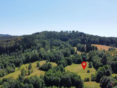 Prodej pozemku pro bydlení, Olešnice v Orlických horách, 3027 m2