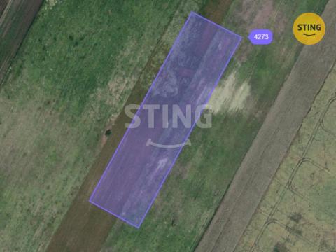 Prodej pole, Moravský Žižkov, 9180 m2