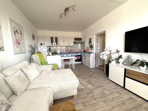 Prodej bytu 1+1, České Budějovice, Otavská, 47 m2
