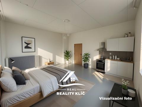 Pronájem bytu 1+kk, Ostrava, Stará cesta, 37 m2