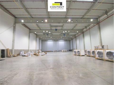 Pronájem výrobních prostor, Kozomín, 2157 m2