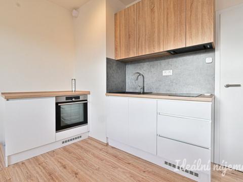 Pronájem bytu 1+kk, Brno, Křenová, 28 m2