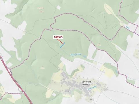 Dražba lesa, Veverské Knínice, 3926 m2