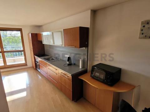 Pronájem bytu 3+kk, Brno, Hlinky, 85 m2