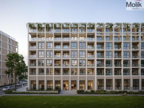 Prodej bytu 2+kk, Golem, 61 m2