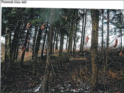 Prodej podílu lesa, Jihlava, 11793 m2