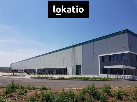 Pronájem skladu, Úžice, 5667 m2