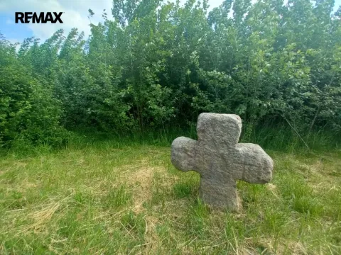 Prodej pole, Doubravice, 17750 m2