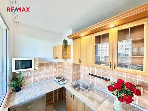 Pronájem bytu 1+kk, Pardubice, Gagarinova, 28 m2