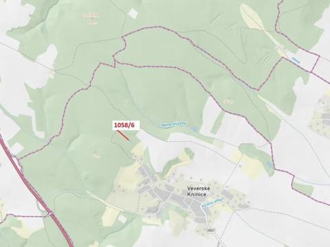 Dražba lesa, Veverské Knínice, 77 m2