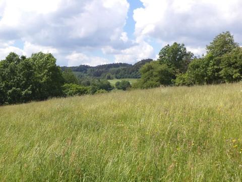 Dražba louky, Hnátnice, 1570 m2