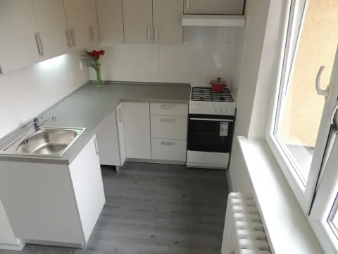 Pronájem bytu 1+1, Ostrava - Zábřeh, Jugoslávská, 41 m2