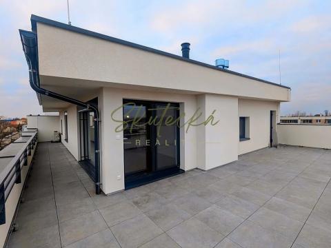 Pronájem bytu 3+kk, Hodonín, 150 m2